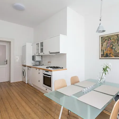 Spacious New In Old Town 프라하